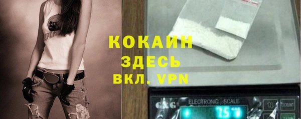 прущие грибы Аркадак