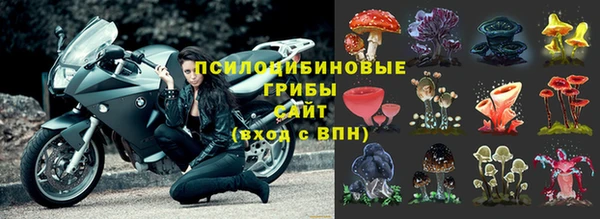 a pvp Арсеньев
