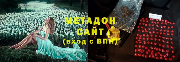 прущие грибы Аркадак